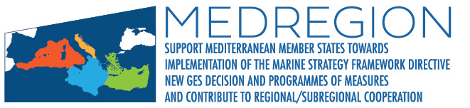 MEDREGION Final Logo