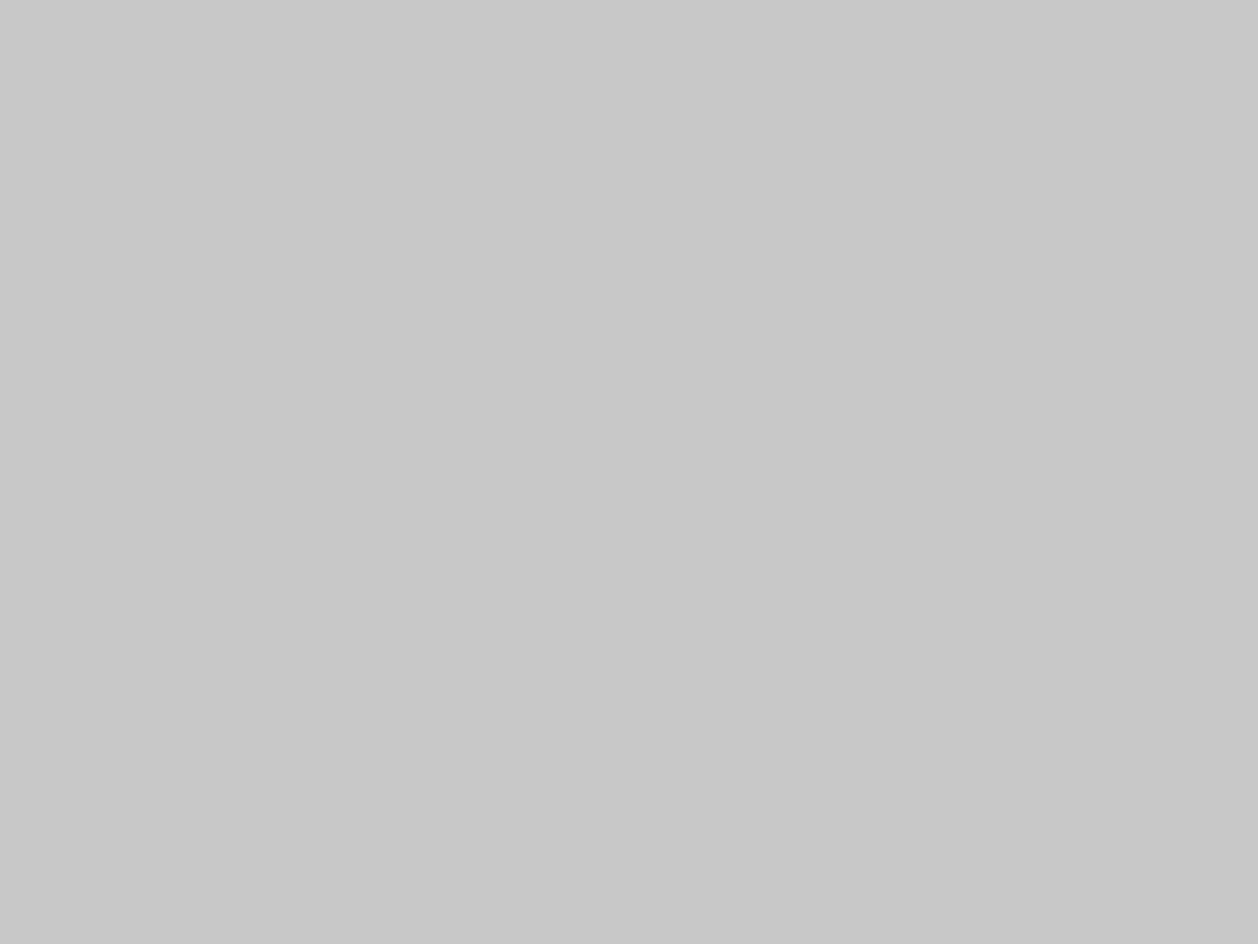 grigio_4-3