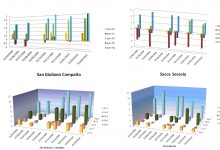 Linea_5_Figura_4a