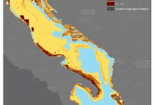 p-6 Cumulative_Impacts