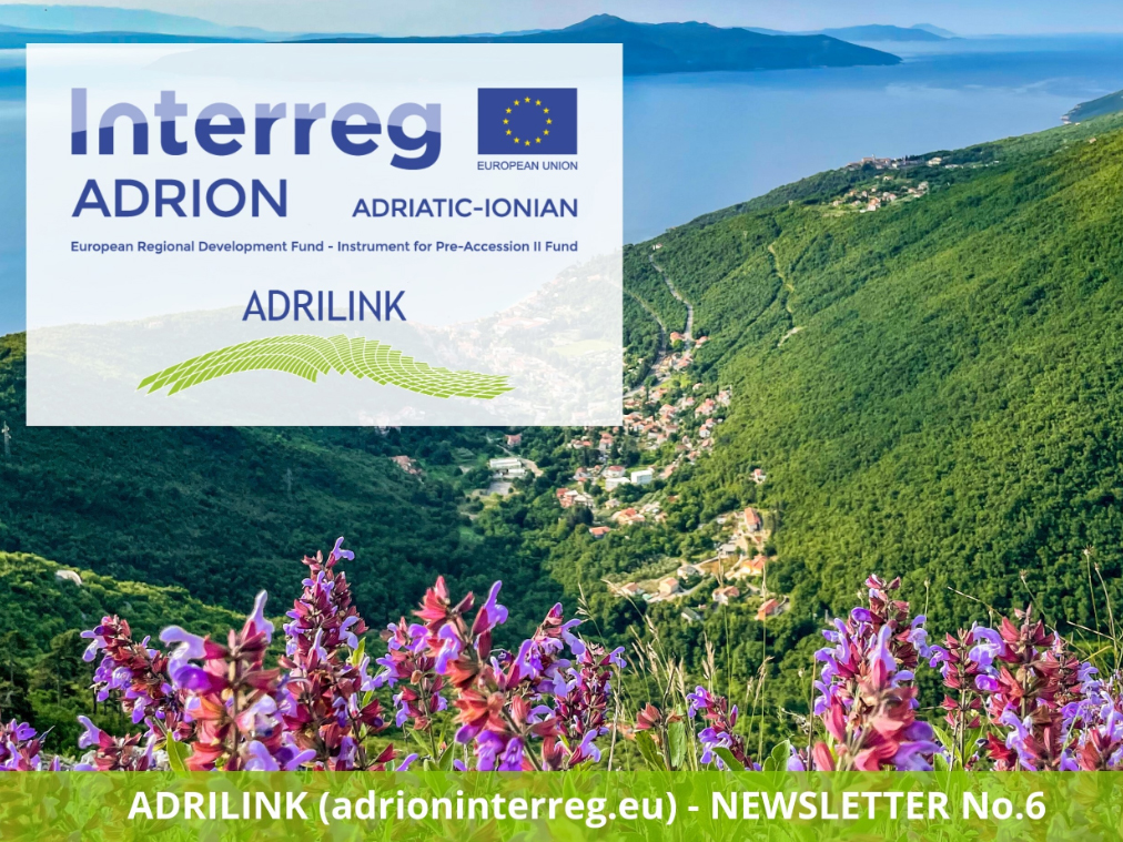 Adrilink VI Newsletter