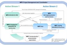 WP in DANUBIUS-IP