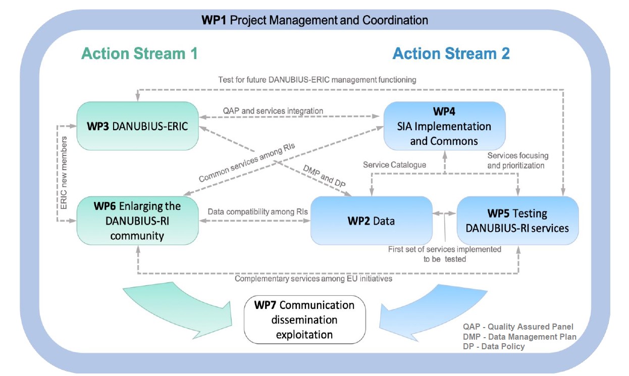 WP in DANUBIUS-IP