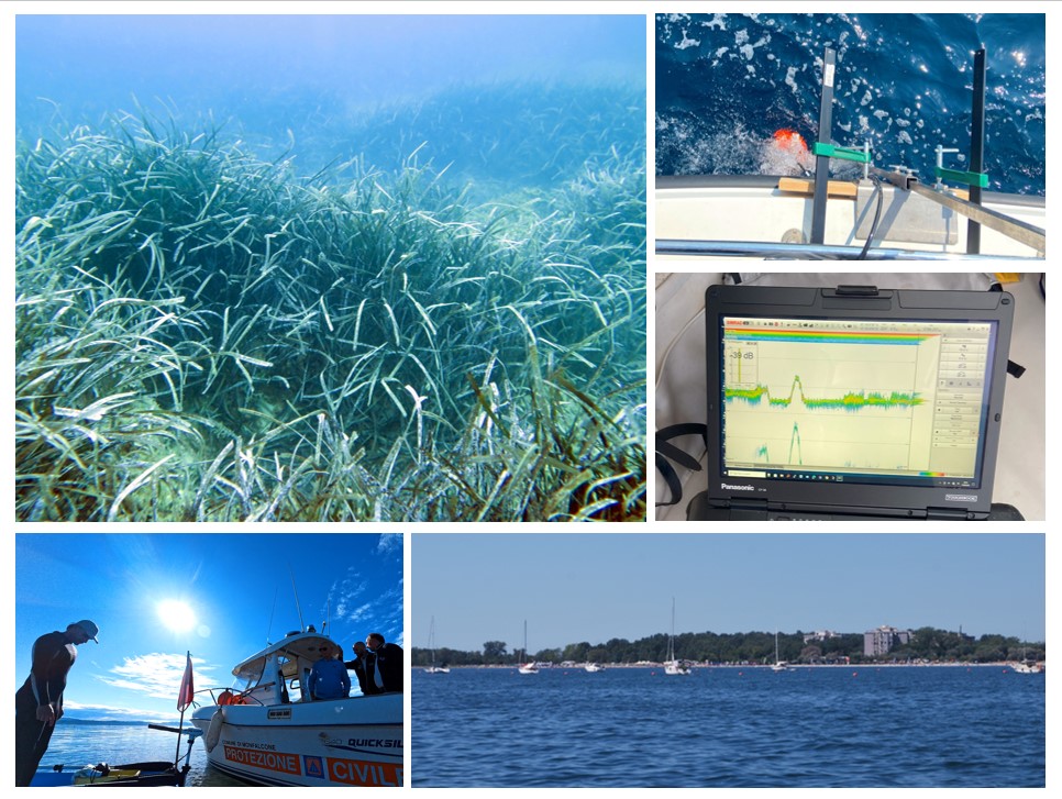 Monitoring Kicks Off for BIOPRESSADRIA Project in Panzano Bay, Monfalcone