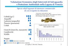 economia1